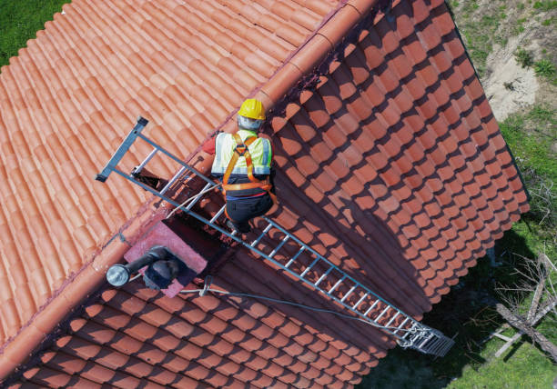 Best Sheet Metal Roofing  in Olcott, NY