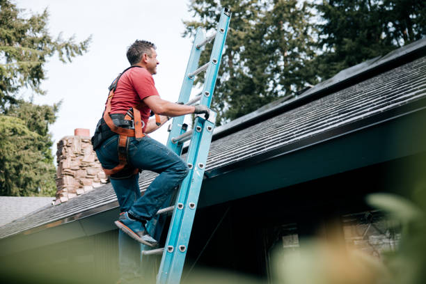 Best Asphalt Shingles Roofing  in Olcott, NY