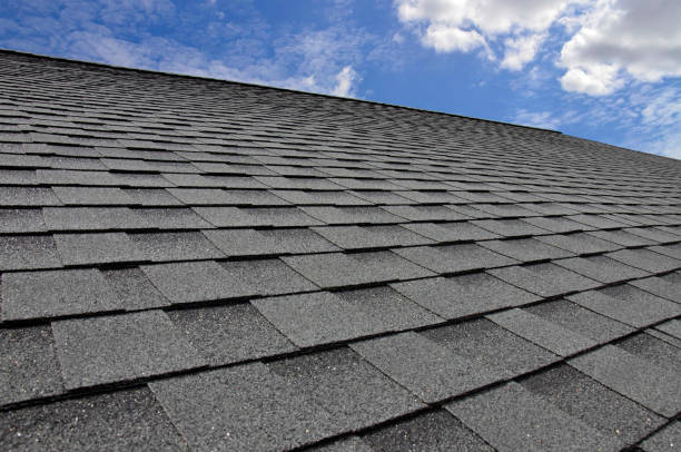 Best Roof Insulation Installation  in Olcott, NY